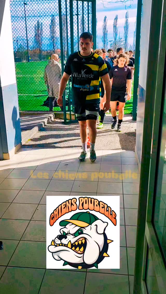 Les chiens poubelle #rugby #toulonprovencemediterranee #carquieranne #hyères #lacrau