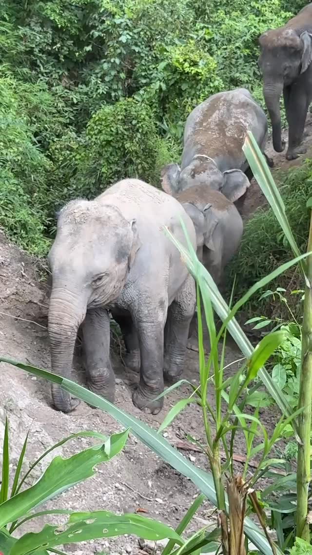 You’ll never regret the moments you said yes to adventure.
Those journeys, big or small, become the stories you tell for years, the photos you return to when you need inspiration, and the reminders that you’re capable of more than you imagined. Keep saying yes. The world is waiting.
#myrooftopstories #travelgram #travelinspirations #sayyestoadventure