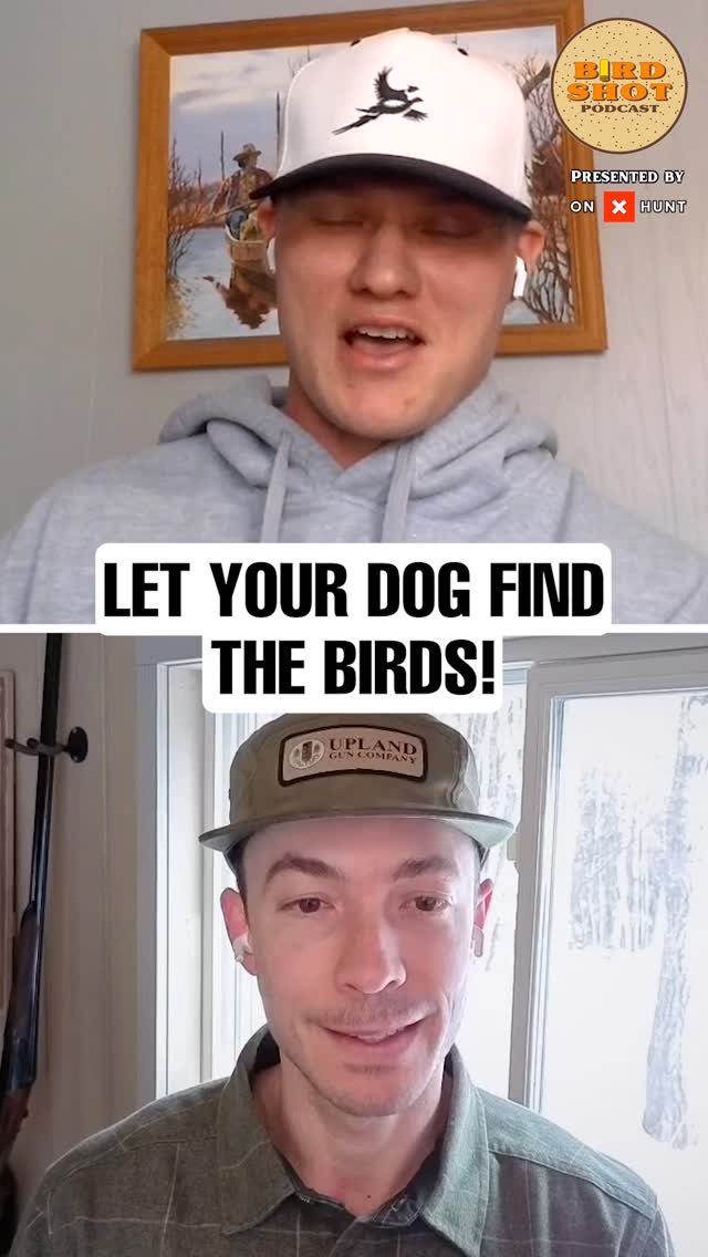 Trust your dog then wait.
In this episode of Birdshot Podcast, host @nilarson13 invites guest @isaiah_osborne10 to explore how giving your bird dogs freedom and confidence can make all the difference in the field.
🎧 Listen to the full episode, link in bio
#BirdHunting #PheasantHunt #BirdDogs #HuntingWisdom #DogTraining #OutdoorLife #HuntingCommunity