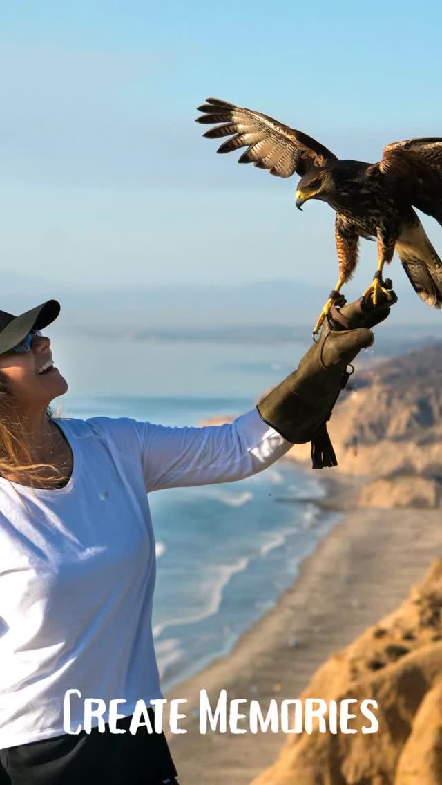 #totalraptorexperience #thingstodoinlajolla #thingstodoinsandiego #nature #birdsofinstagram #flytorrey #giveexperiences