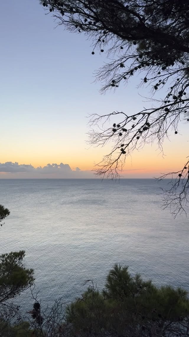 14.238 giorni di vita.
E ancora sto imparando a vedere davvero.
Questa settimana, nel corso sulla relazione amorevole, ho scoperto una cosa che mi ha spostato dentro:
non soffriamo per ciò che ci manca…
ma per ciò che pretendiamo di ricevere.
Illusioni, Pretese, Amarezze, Obblighi.
I quattro piccoli cavalieri dell’Apocalisse emotiva …. che ci fanno perdere il senso dell’incontro, e di noi stessi.
Nel nuovo articolo sul blog racconto cosa ho capito, cosa è cambiato… e perché oggi la parola BASTA mi sembra una parola buona.
Se ti va di leggere, di riflettere, di sentirti un po’ meno solo/a in questo cammino:
🌿 link in bio
#relazioni #crescita personale #consapevolezza #amorevole #blogpoetico #14mila237giorni #scrittureemotive #introspezione