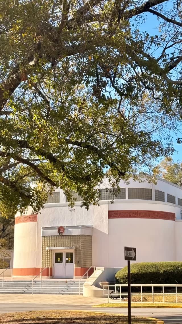 From quiet winter walks to sunny summer days, Ocmulgee Mounds is beautiful at every season.
#ocmulgeemounds #visitmacon #exploregeorgia #macongeorgia