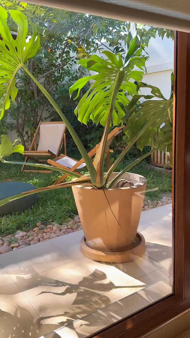 Twin Hearts Meditation with Nesrine 🤍
A gentle yet powerful practice that opens the heart and crown chakras to cultivate loving-kindness: for yourself, for others, and for the world.
Guided by Nesrine, this meditation invites you to release stress, soften the mind, and reconnect with a deeper sense of peace and clarity.
Known as the Planetary Meditation for Peace, Twin Hearts blends breath, visualization, and blessing the Earth, helping you let go of heavy emotions, harmonize relationships, and awaken a quiet inner light.
Whether you’re seeking emotional balance, spiritual growth, or simply a moment to breathe, this practice offers a compassionate doorway back to calm and connection ✨
Join us for the next session at Umoja Wellness Sanctuary, Oyster Bay
Book via WhatsApp: +255 792 444 882
#BeUmoja #meditation #yoga #breathwork #holisticwellness #wellness #mindbodyspirit #holisticliving #daressalaam #tanzania