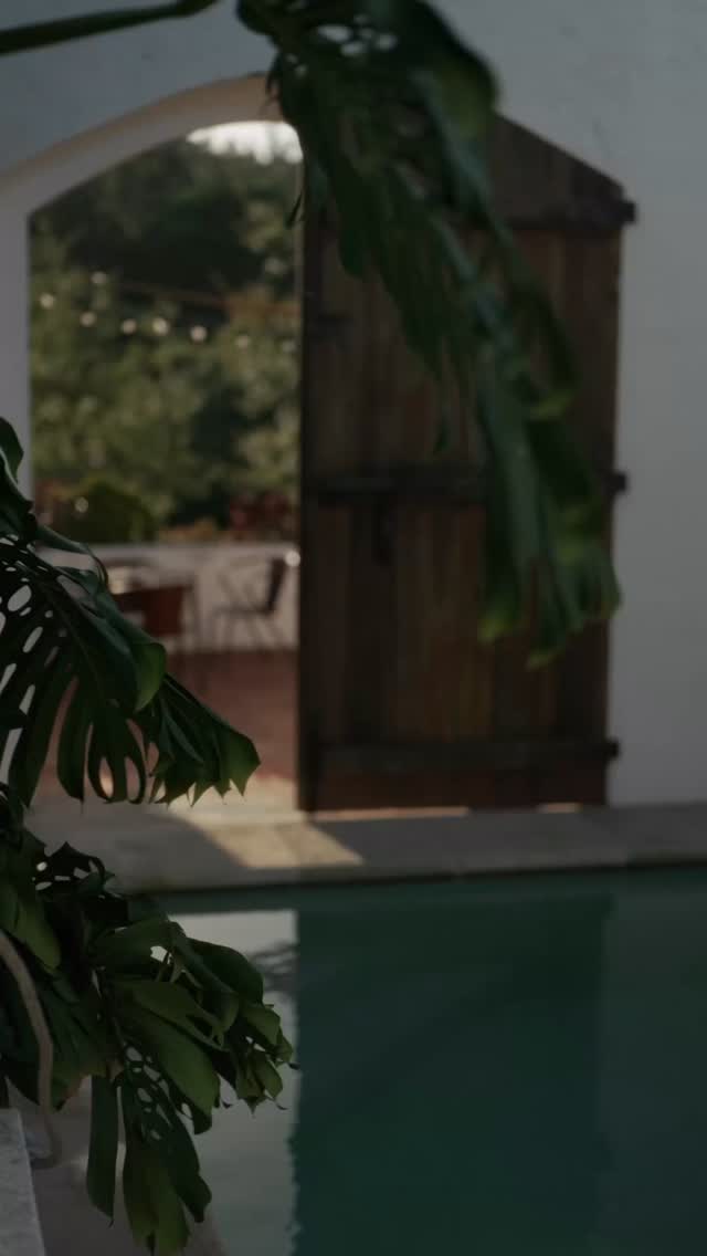 Late summer mood 🌞
While we are enjoying winter and creating our new project in Provence we go thru memories of the summer
That remembers us how much we love hosting and caring
Those memories are from a diner preparation from a special day for special guests 💕
📷
@ilsankerphoto
#casatudobem #portugal #hosting