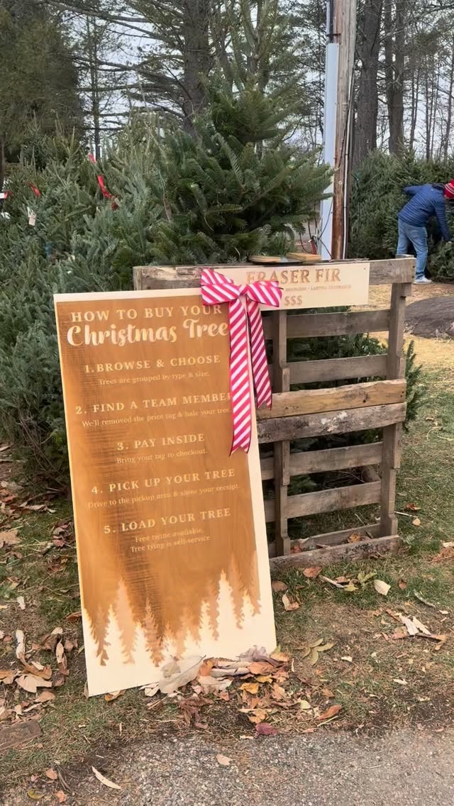Trees? ✔️Wreaths? ✔️ Gifts galore? Always.
This weekend only: 20% off the entire store (excluding original artwork).
Last chance to shop Hickory Hill before we close for the season! 🎄✨
#HickoryHillOrchard #CTChristmas #ShopLocalCT