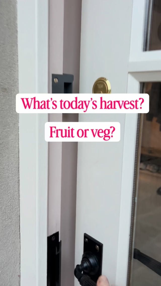I knew a small sink in the new boot room would come in handy, in fact it’s essential already 😍 Just a few paces from the veg patch, I no longer walk mud and compost through the house to the kitchen 🙄 I’m calling it my veggie sink, made all the more pleasing with green @bertandmay tiles, pink @coatpaints and porcelain floor tiles @mandarinstoneofficial, DM if you would like details #pr #gifted #bootroom #pinkrooms #veg #houserenovations #gardening #home #countrylife