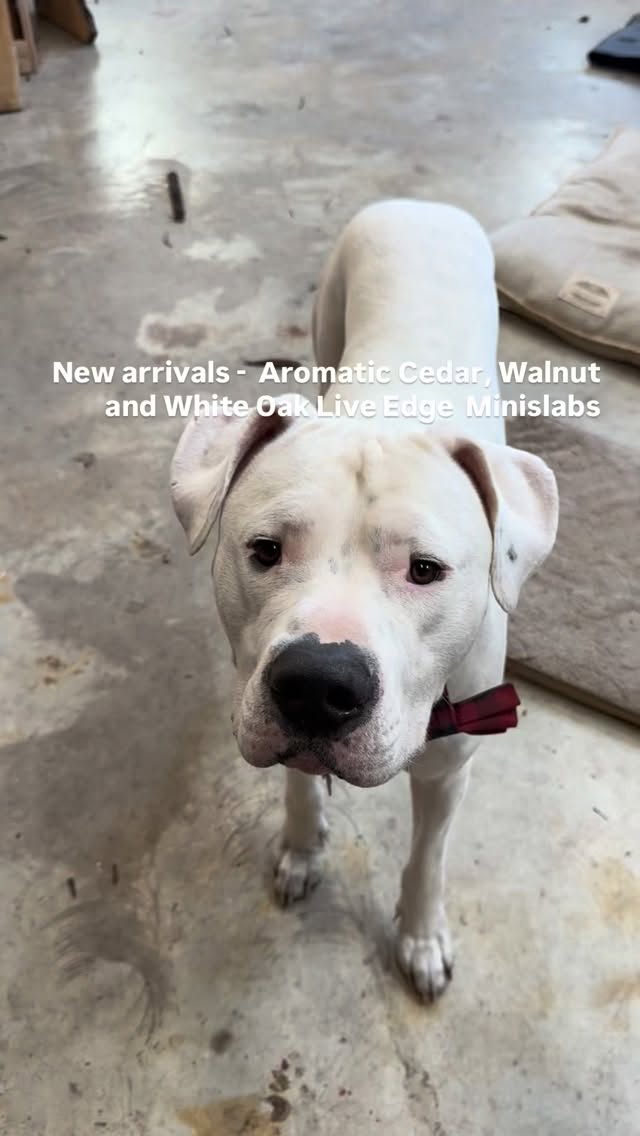 New arrivals… Aromatic Cedar, Walnut and White Oak Live Edge mini slabs. Perfect for charcuterie and cutting boards.