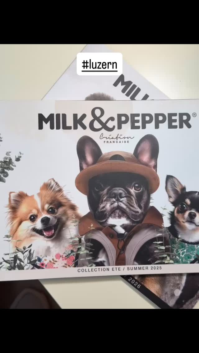 #grooming #hundesalon #grooming_luzern #hundesalonluzern #maltese #bolonka #pudel #schweiz #luzern #pomeranian