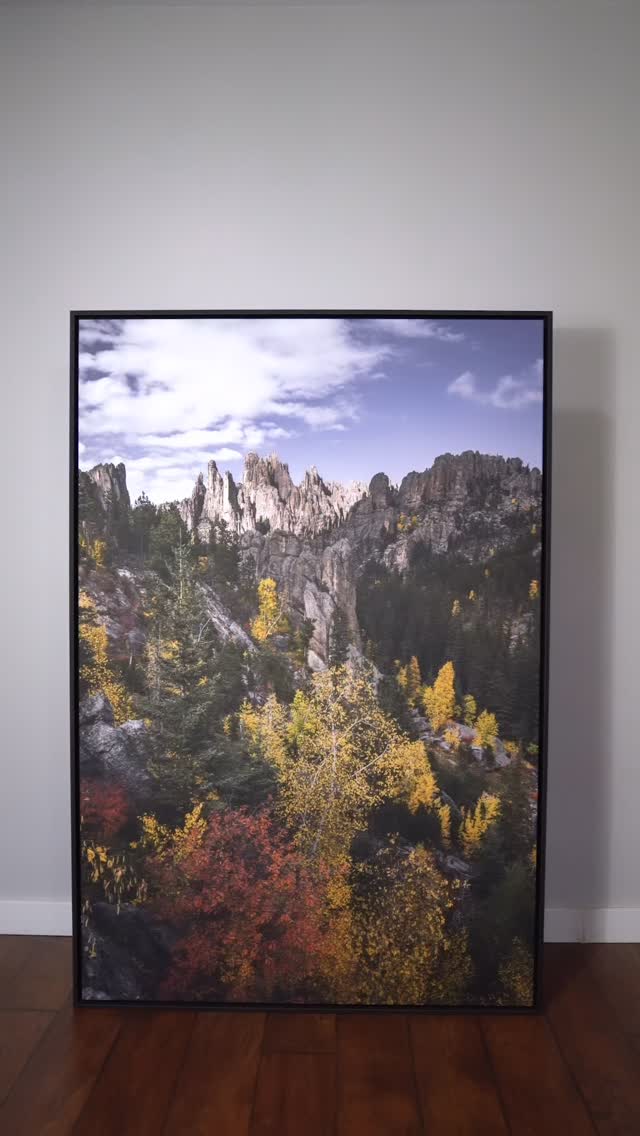 It only took me five years, seventeen early snowstorms, and a handful of “well… maybe next year” moments to finally capture Needles Spires Fall. 🍂
If you’ve ever chased autumn in the Black Hills, you know the trees go from peak color to bald in about 24 hours. 🥴 It’s a sport at this point.
But that’s what makes this image special! Patience, timing, and a little bit of stubbornness. And honestly? Those are the three ingredients behind most great wall art.
If you’re decorating a space and want artwork that actually means something (not just another generic fall print from the internet or hobby lobby), this one has a story that goes with it. Years of showing up, waiting, and trusting the moment would finally happen.
And for collectors who want more than wall décor, this piece is part of my Artist’s Reserve Collection. A curated set of images released in very limited quantities. When they’re gone, they’re gone! #byebye
Curious what sizes or editions are still available?
Send me a message or drop a comment and I’ll share what’s left in this limited release.