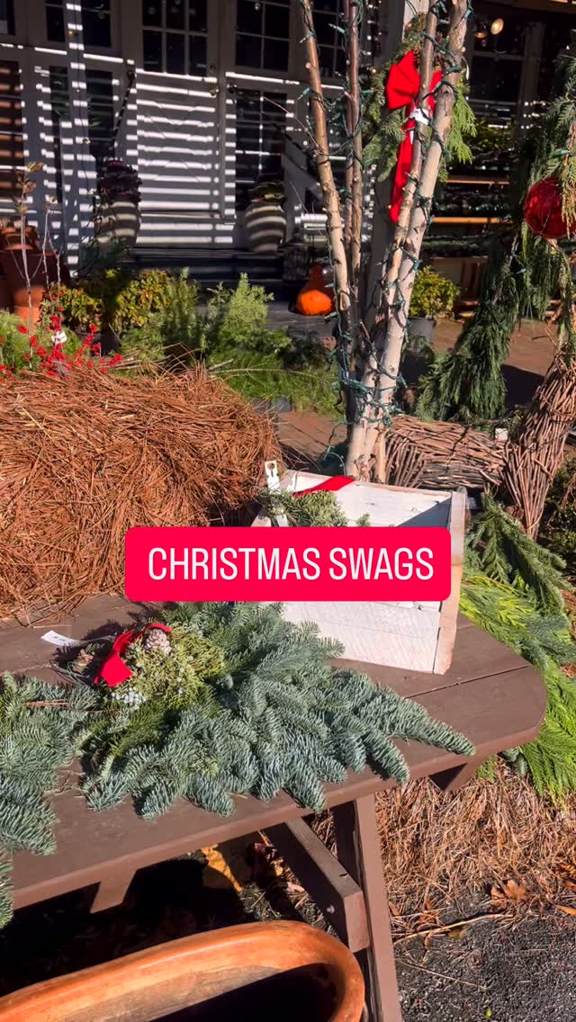 Come shop at Groff's this holiday! ✨
🌲Check out our beautiful high quality live evergreens, trees and shrubs!
Groff's has something for everyone 🎁 so if you're struggling to find the right gift, stop by and take a look around ⭐️
#familyowned #rowanuniversity #glassboronj #shoplocal #holidayhome #christmastrees #christmaswreaths #hohoho #winterwonderland