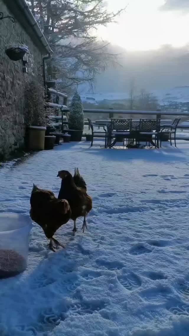 Who else is hoping for a white Christmas! Have a great Friday everyone! X
#dartmoorholidays #whitechristmas❄️ #dartmoornationalpark #dartmoor #dartmoorholidaycottage #holidaycottagesuk #escapetothecountry #winterbreaks #countryretreat #vistdartmoor #visitdevon