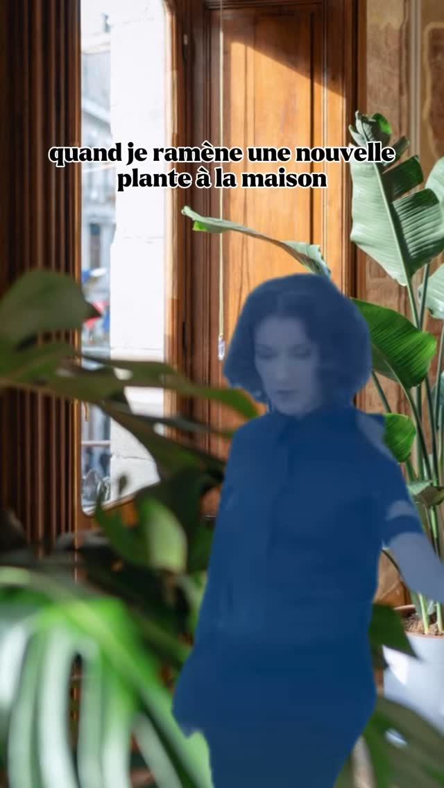 Qui a dit que ce serait la dernière ? 👀
#jeraplantshop #boutiquevegetale #jardinerieurbaine #plantstagram #plantgoals #plantsplantsplants #plantesrares #plantsofinstagram #plantslovers #greenyourfeed #greenlovers #plantsociety #plantcommunity #plantsmakepeoplehappy #entreprisefrançaise #jungleurbaine #rareplantshop