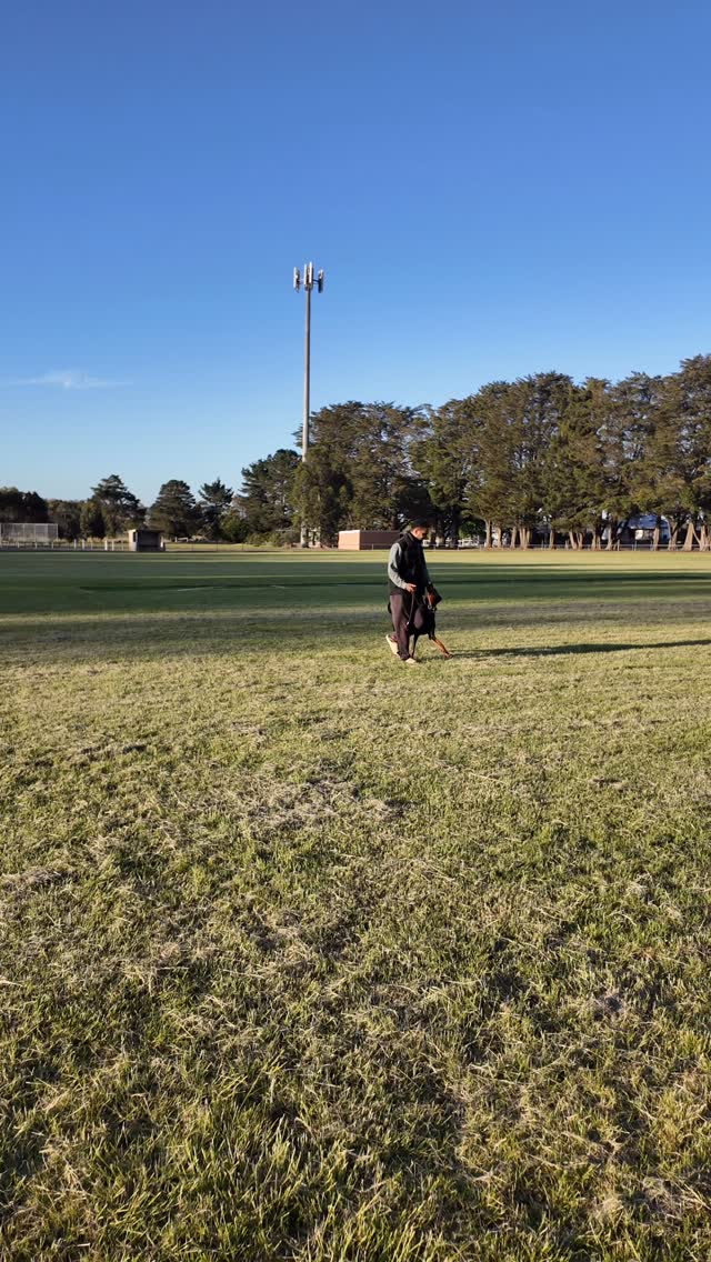 Getting ready for our BH in 2026.
VIPER @13 Months.
#dobermann #forrerndobermanns #puppylove #european_dobermanns #dobielove #dobe #eurodoberman #igp #dogsport