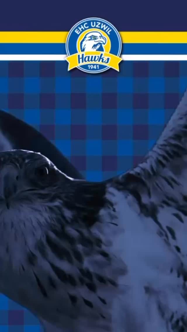 Wir freuen uns, bekanntgeben zu dürfen, dass wir den Vertrag mit unserem Ausrüster und Sponsor Ochsner Hockey AG frühzeitig und wiederum langfristig verlängern konnten. Ein herzliches Dankeschön an Sacha Ochsner und das gesamte Team von @ochsnerhockey für die Unterstützung und die tolle Zusammenarbeit.
#ehcuzwil #ehcuzwilhawks #ausrüster #ochsnerhockey #support #vertrauen