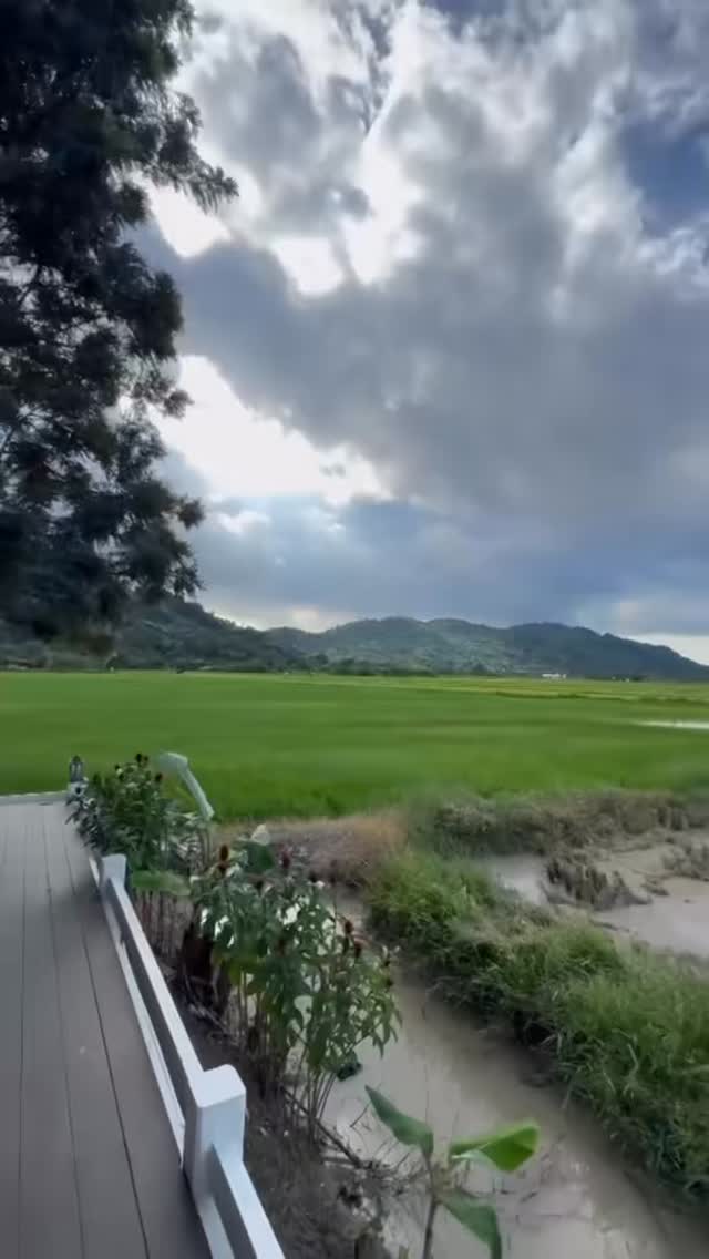 🏔️ see through (ซีทรู)
🏡 ห้องกระจกที่ตกแต่งแบบเรียบง่าย วิวกว้าง สบายตา เปิดรับวิวภูเขาและทุ่งนาเขียวขจีที่โอบกอดอยู่รอบกายจากปลายเตียง พร้อมอ่างอาบน้ำที่ระเบียงห้องพัก ให้ได้แช่น้ำ ชมวิวธรรมชาติได้อย่างเป็นส่วนตัว
⛰️ ไม่ได้เข้าพักแวะมาเที่ยวได้ค่ะ ⛰️
🙏 หากมีโอกาสเรียนเชิญนะคะ 😍
ร้านอาหาร และที่พัก 👇
Open daily : 08.00-20:00 น.
💛 สนใจสำรองห้องพักสอบถามเพิ่มเติมได้ที่ 👇👇
🆔 Line : @lervadeflora
📩 Inbox : https://m.facebook.com/messages/t/lervadeflora
🏠 เช็คราคา สำรองที่พัก: www.lervadeflora.com
📱 โทร : 061-836-8888
📍GPS : https://goo.gl/maps/fmUZuRNjXMHEtsoY9
#นครนายก #ที่พักนครนายก #คาเฟ่นครนายก ร้านกาแฟนครนายก รีสอร์ตนครนายก เลอวาคาเฟ่ คาเฟ่นครนายก cafe ร้านอาหาร คาเฟ่นครนายก cafe ร้านอาหาร lerva lervadefloraresortandspa เลอวาเดอฟลอร่า