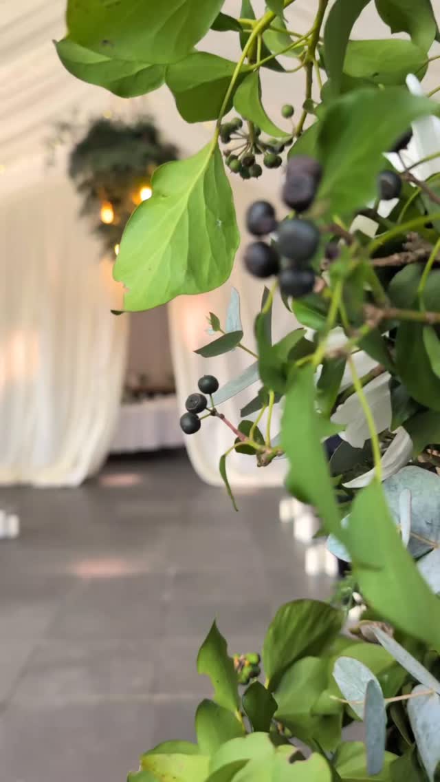 What a beautiful way to finish 2025 with Holly and Matt's stunning winter wedding at Trevenna barns. There's something very special about winter weddings that you don't get in the summer... I love them! 🥰 I can't wait to see the professional photos from @josharkonphoto
@trevennabarns
@holly_may._
@a_sketch_journal
@hannahmaymakeupartist
@bridalhairbyrhian
#trevennabarnswedding #trevennabarns #weddingfloristcornwall #weddingbouquet #weddingflorist #winterwedding #winterweddingcornwall #winterweddingsouthwest #winterweddings #winterwonderland #christmaswedding #christmasweddings #whiteweddingflowers
#winterflorals