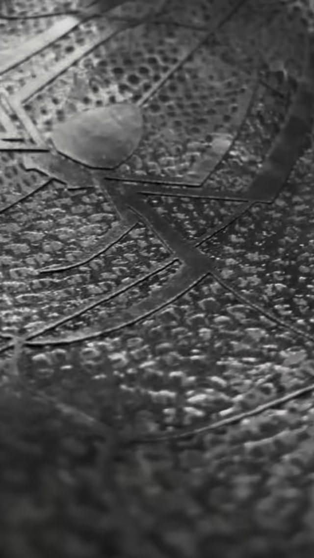 🤓🕷️🕸️♟️ #spideysuit #veneno #textures