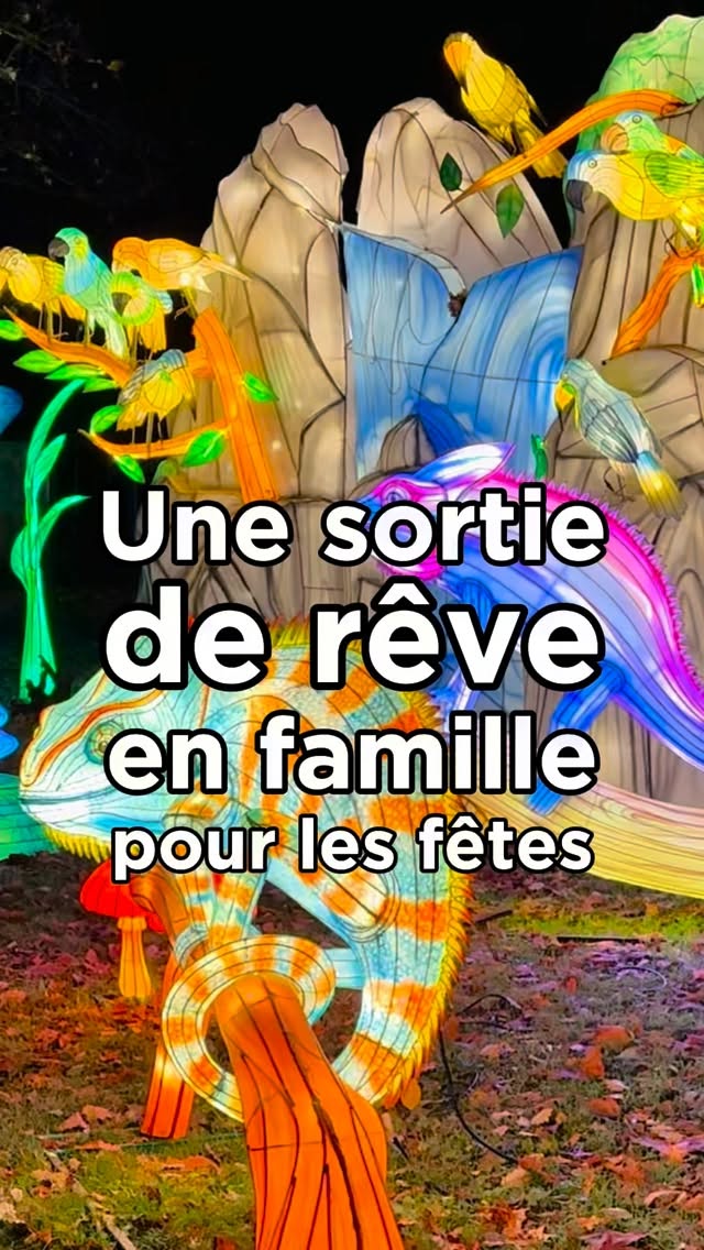 Bientôt les vacances de Noël 🎄. J’ai la sortie idéale pour ceux qui seront en région parisienne pendant les fêtes. Rendez-vous au Parc Floral de Paris jusqu’au 11 janvier 2026 pour découvrir l’Odysée lumineuse ✨.
C’est, selon moi, le meilleur rapport / qualité prix parmi les spectacles de la fin d’année. Ici, on combine tout en un seul billet à partir de 11€ par enfant et 13€ par adulte.
Imaginez... Plus de 1000 lanternes lumineuses avec des univers aussi variés que le monde du Père Noël 🎅🏻 , le pôle Nord avec ses pingouins, ses ours blancs et ses magnifiques aurores boréales, un grand espace pour les fans du Japon 🇯🇵 et ses coutumes, la mystérieuse vallée des dresseurs de dragons 🐉 ou encore des centaines d’animaux sauvages plus beaux les uns que les autres... et il y a encore d’autres thématiques à découvrir pendant cette balade.
Mais ce n’est pas tout ! Cette année, en plus d’un numéro de bulles de savon géantes pour émerveiller les plus jeunes, le billet inclut aussi un spectacle de drones dans le ciel du parc, à la fois poétique et spectaculaire.
Vous y êtes déjà allé ? Partagez avec moi votre avis en commentaires. ✨❤️
✨L’Odysée Lumineuse jusqu’au 11 janvier 2026 ✨
📍Parc Floral de Paris - Route de la Pyramide - Paris 12
Ouverture du parc dès 17h30 (Les entrées sont possibles jusqu’à 21h30) Fermeture à 22h.
Fermetures exceptionnelles les 24 et 25/11, 1er et 2/12, 8 et 9/12, 15 et 16/12, 5 et 6/01
🎟️ Billetterie sur place dès 18h, mais réservation en ligne fortement conseillée
Billets datés : 13€ par adulte et 11€ par enfant
👉🏻 Réservations : odysseelumineuse.fr/paris
ℹ️ Ce post sponsorisé mais ne vient pas influencer mon avis sur cette super sortie ❤️
#fetesdefindannee #decorationdenoel #lumieresdenoel #parcfloraldeparis #christmasinparis #noelaparis #spectaclelumineux #vacancesdenoël #parisinsolite #sortieparis