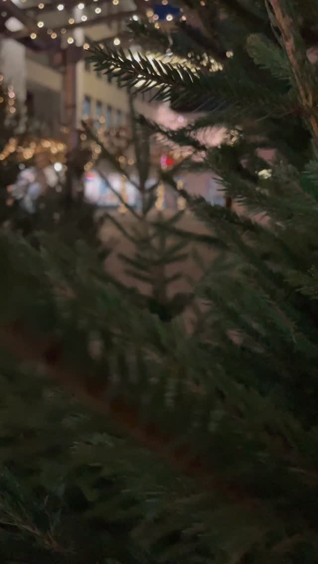 Komm vorbei 🎄✨
Ich bin heute auf dem Weihnachtsmarkt in Aalen –
mit handgemachten Balance Boards aus Holz 🤍
Noch bis 21 Uhr hier.
Vorbeischauen, ausprobieren, quatschen, Weihnachtsfeeling genießen ✌️
#weihnachtsmarkt #aalen #handgemacht #balanceboard #surfstylefever