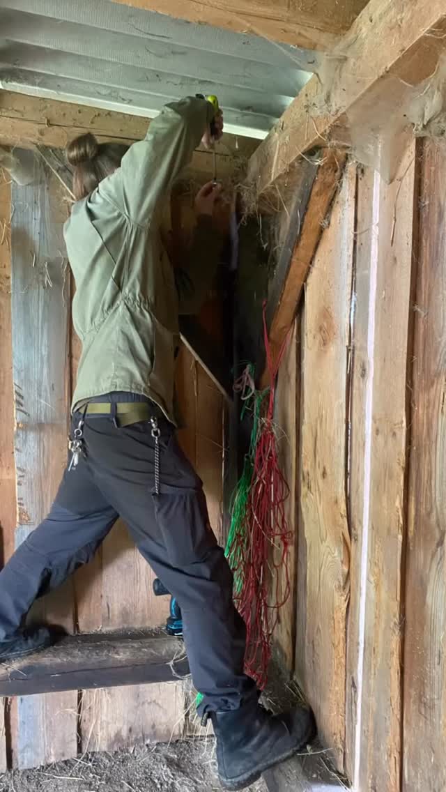 ✨As the Holiday season approaches, we’re asking friends of ArtMill, past visitors and our followers, to consider making a donation.
Much of what happens at ArtMill is powered by the dedication of our community members, who contribute countless hours to nurturing the Mill and all its beings as a true labor of love. 💛
Every gift, big or small, fuels the unseen labor behind regenerative practices, hosting hundreds of people each year, holding space for creativity and fostering community resilience. 🌱
We’ve launched a fundraiser to reach the resiliency we need next year, as a non-profit organization in times when public funding for culture continues to shrink, and with grant programs rarely covering running costs, bills, labor, maintenance and repair.
Visit our website - link in bio - to see our wishlist and make a donation. 🧑🌾🙏