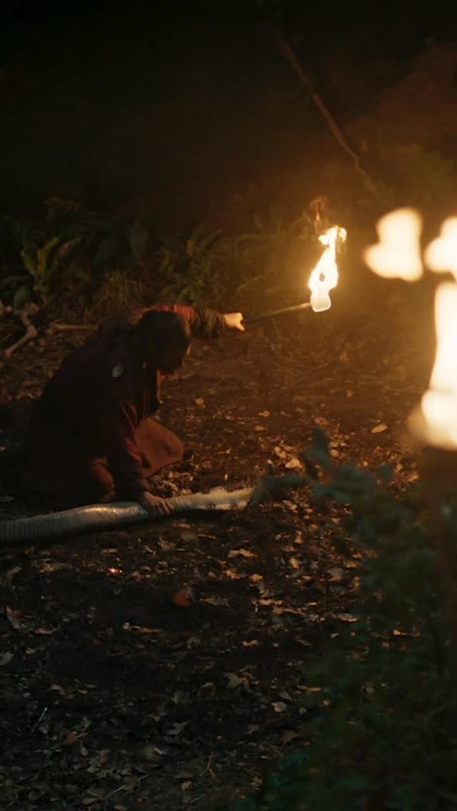 Sandokan vs cobra 🐍Chi avrà vinto? Guarda fino alla fine per scoprirlo!ps: venerdì vi aspet....