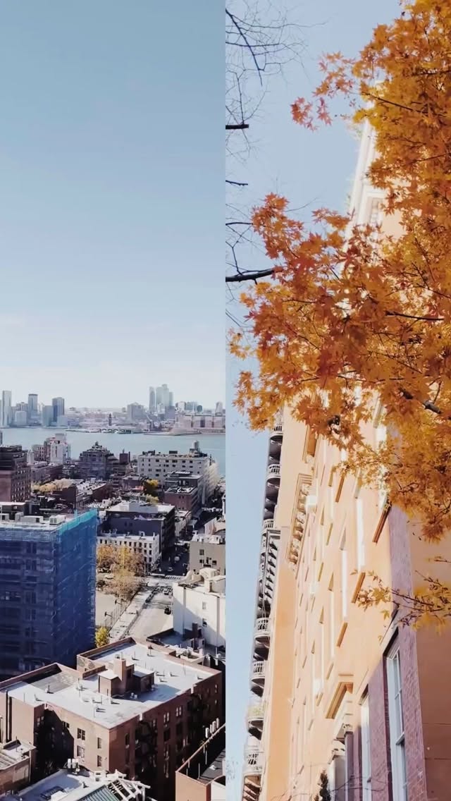 I hear it’s snowing now, but this was the city two weeks ago when I visited for a book tour of a special memoir by an author who is dear to me, and more importantly to my mother, who has been following Tetsuko Kuroyanagi’s work for the last five decades.
When I was first asked to translate the sequel to Totto-chan, the Little Girl at the Window, which has sold over 33 million copies globally since it was published in 1981, by an author so iconic there isn’t a Japanese soul who doesn’t know her name, I pinched myself. Me?! Why?! Are you sure?! And then, Moooom! She couldn’t believe it either.
Two weeks ago, the sequel was published in the US, and the incredible, hard-working, talented team at Kodansha USA arranged a book tour with events at NYPL, Kinokuniya & Japan Society. With a wonderful NHK World interview for the English program Deeper Look (which you can watch now) that filled my heart. (NHK World is special to me because I worked behind the camera for years, translating scripts, filming around Tokyo, recording in the studio with my favorite narrator & voice actors.) Thank you to @deliranitv for the delightful chat.
I’m so grateful to the @kodanshamanga team and to Kodansha Japan for letting me talk for hours about this book & author.
To my brilliant editor Alexandra, with whom I’ve had numerous talks about how the book uplifts, with the insightful Nate Shockey, associate professor of Japanese at Bard College, who made us laugh onstage while providing insight into the Totto-chan film (a beautiful animated version of the first book).
The NHK World interview aired recently and can be viewed in full (15 min). And I’ve recorded a short audio clip of the book for a taste of Kuroyanagi’s charm and resilience, even in the most challenging of times.
Thank you to everyone who came to the events, and to those who have shared how much the first book - start there, it’s incredible - meant in their lives, how they can’t wait to pick up the second.
黒柳徹子さんの『続 窓ぎわのトットちゃん』を英訳させていただき、アメリカでの出版に合わせてNYへ行ってまいりました。何から何までお世話になった講談社USA、講談社のみなさま、ありがとうございました。
📸 Credits:
Japan Society photos: Stefanie Candelario
Behind-the-Scenes: Kodansha
The rest: Me