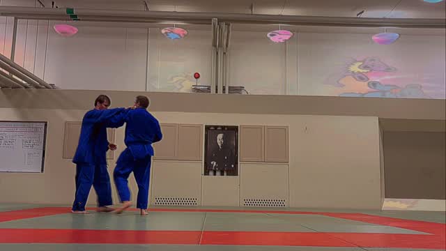 Tomoe nage känns som en tripp