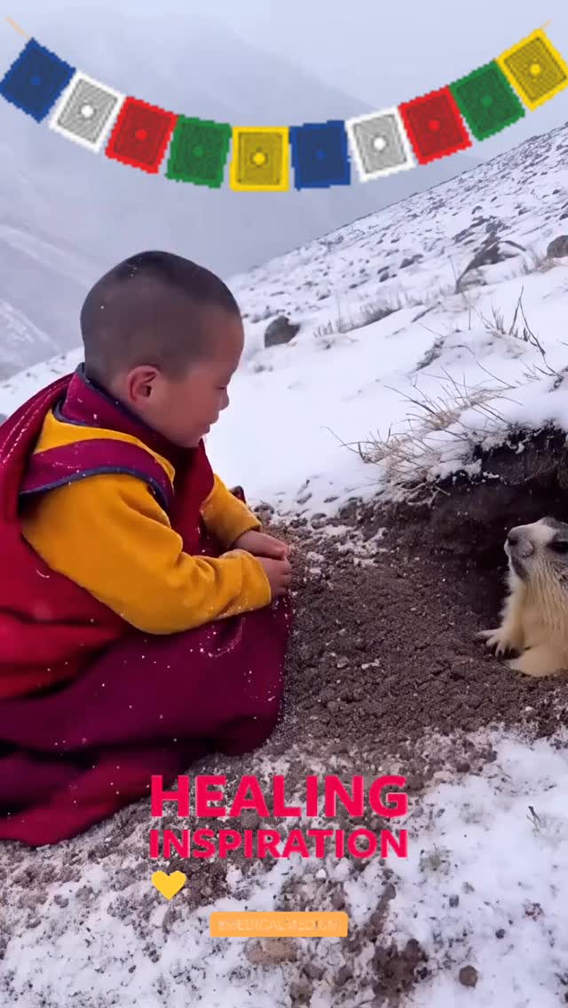 💫 Om Mani Padme Hum. 💫
Ein Mantra des Mitgefühls.
Ein Klang, der uns nach innen führt und erinnert, was wirklich trägt.
🙏🏻 In diesem berührenden Video aus dem Himalaya begegnet ein Junge einem Murmeltier. Er spricht sanft Om Mani Padme Hum und reicht ihm die Hand. Das Murmeltier nimmt sie an. Zwei Wesen, die sich in einem Moment stiller Präsenz auf Augenhöhe begegnen.
⚓️ Diese Szene berührt mich so tief, weil sie zeigt, was wir Menschen – besonders in Zeiten von Trauer, Verlust oder nach traumatischen Erfahrungen – am meisten brauchen: einen sicheren Raum. Gesehen werden. Sanft gehalten sein, ohne etwas erklären oder leisten zu müssen.
🕊️ Om Mani Padme Hum steht für eine innere Haltung von Mitgefühl, die regulierend wirkt, Vertrauen aufbaut und Heilung ermöglicht. Gerade Kinder und Jugendliche reagieren besonders fein auf diese Qualität von echter Präsenz und Klarheit.
🪽 In meiner Arbeit als Trauerbegleiterin – insbesondere für Kinder und Jugendliche – sowie im trauma-sensiblen Coaching begleite ich Menschen in herausfordernden Lebensphasen. Achtsamkeit, Meditation, Energiearbeit, Pranic-Healing sowie die Ausrichtung von Geist, Wirbelsäule und Bewusstsein unterstützen dabei, wieder Boden unter den Füssen zu spüren, innere Ordnung zu finden und sich dem Leben behutsam neu zuzuwenden.
💫 Vielleicht beginnt Heilung nicht mit grossen Worten, sondern mit einem stillen Moment echter Begegnung.
Mit Mitgefühl.
Mit einem leisen Om Mani Padme Hum. 🤍
👉 Vielleicht ist jetzt ein Moment, innezuhalten.
Ich bin da – für achtsame, traumasensible Begleitung.
Du kannst mir gerne eine Direktnachricht schreiben oder über meine Webseite einen Termin buchen.
#OmManiPadmeHum #Mitgefühl #Achtsamkeit #Trauerbegleitung #KinderUndJugendliche
#Traumasensibel #Traumaheilung #CoachingMitHerz #Energiearbeit
#PranaHealing #Bewusstseinsarbeit #InnereHeilung #Präsenz #HeilungBeginntImMoment