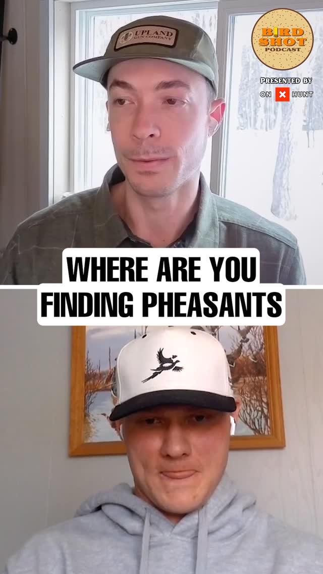 Later season birds don’t scatter, they stack.
In this episode of Birdshot Podcast, host @nilarson13 and guest @isaiah_osborne10 explore the late-season pheasant strategy, breaking down exactly where the birds are and why.
🎧 Listen to the full episode, link in bio
#PheasantHunting #UplandGame #LateSeasonHunting #BirdDogs #HuntingStrategies #CRPFields #CoverMatters #HuntingTactics #WinterHunting