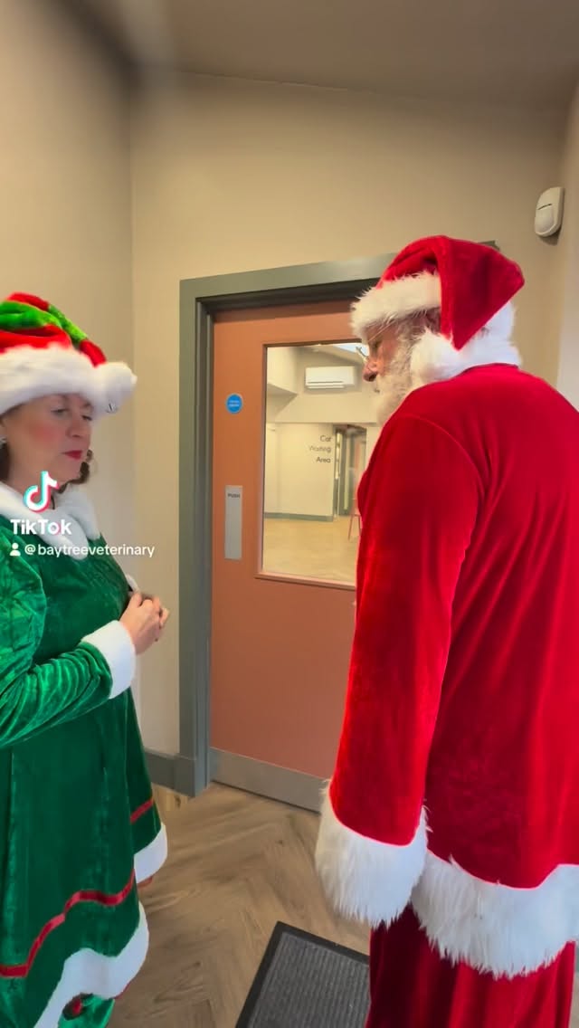 Find us on TikTok 🐾