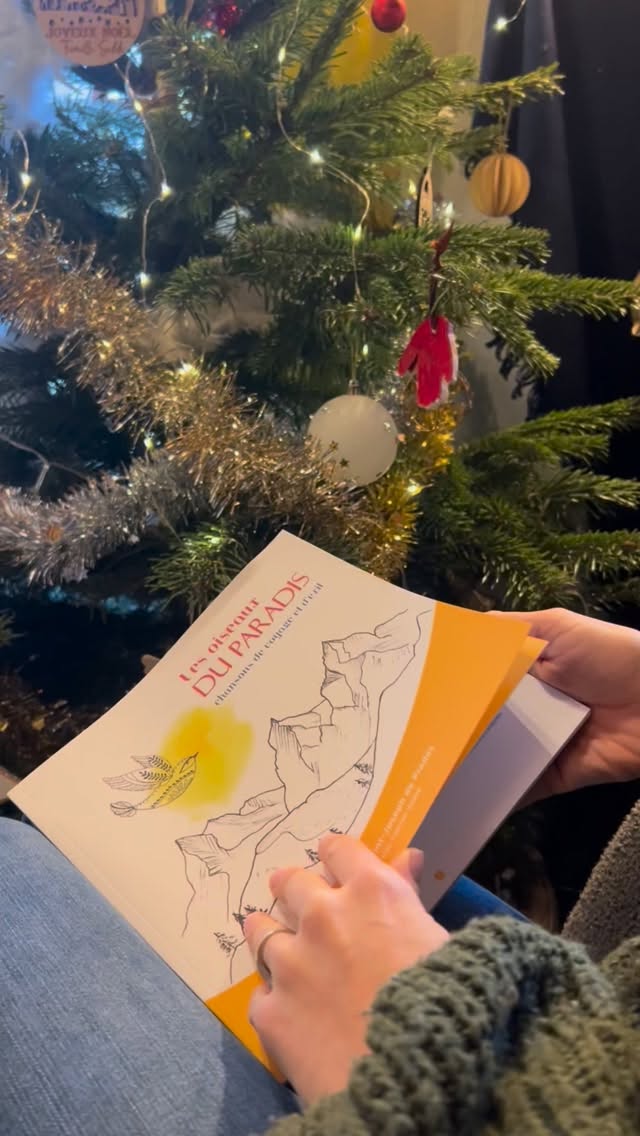 Ce sont les derniers jours pour acheter le tout premier album de la Maitrise et le déposer au pied du sapin à Noël 🎅 On vous offre un petit extrait audio : un chant traditionnel béarnais qui a à peu près mille ans, une harmonisation contemporaine, un poème de Supervielle 👌