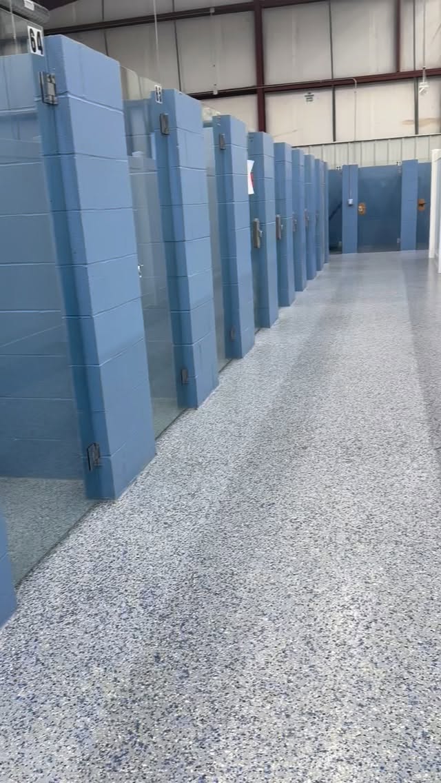 Their only Christmas wish? A family of their own. 🎁🐶
Our foster pups are ready to trade kennel nights for cuddles by the tree. Let’s land them a home before Christmas! Share to help spread the love.