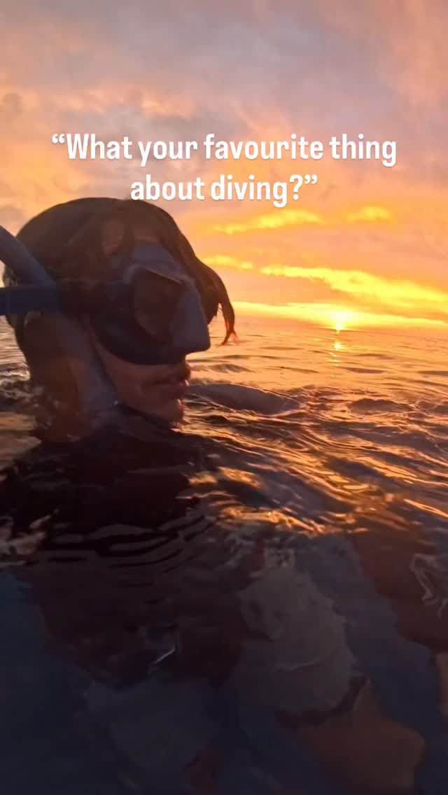 The best thing about diving, isn’t what happens in the water. It’s what happens between dives. 🫶
The diving world is such a beautiful community to be a part of. It brings people of all backgrounds together, where we bond over our shared passion and ability to appreciate the simplest of things.
The childlike excitement when we see something new, the wild chats when the post-dive brain fog hits, the group dinners, the early morning anticipation - not knowing what the day will bring, sharing photos and stories, the bumping into old faces in different parts of the world…this is what makes diving truly MAGIC.