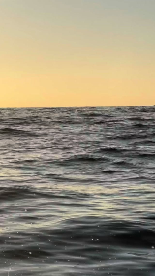 Tantos días que esperamos para dar inicio... solamente 244 días, pero bueno, ¿quién está contando? 👀
Bienvenidas todas las personas que salen con Proyecto Cetáceo a buscar encuentros reales, libres y respetuosos con las ballenas. Cuéntanos, ¿qué otro cetáceo deseas ver? Se vale manifestar en comentarios. 💆🏻♀️✨
— ENG —
So many days we’ve waited to get started... only 244 days, but hey, who’s counting? 👀
Welcome to everyone who joins Proyecto Cetáceo in search of real, free, and respectful encounters with whales. Tell us, what other cetacean would you like to see? Feel free to share your thoughts in the comments. 💆🏻♀️✨
-
-
-
-
-
ballenas jorobadas, avistamiento responsable, los cabos, baja california sur, temporada de ballenas, vida marina, conservación oceánica, proyecto cetáceo, cantos de ballena, breaching, aletas de ballena, naturaleza salvaje, encuentros marinos, migración, océano pacífico, avistamiento de ballenas, los cabos ballenas, los cabos 2026