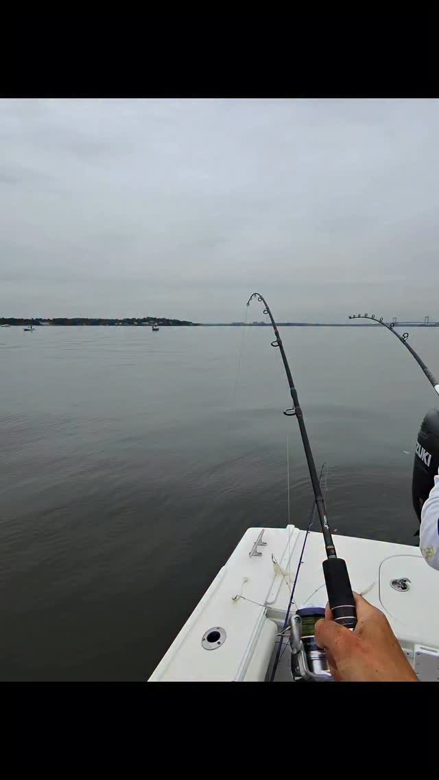 No GPS needed I’m a trained professional captain 😆😆 #bluefinsoundcharters #newrochelleny #bass #fishing #flutterspoons