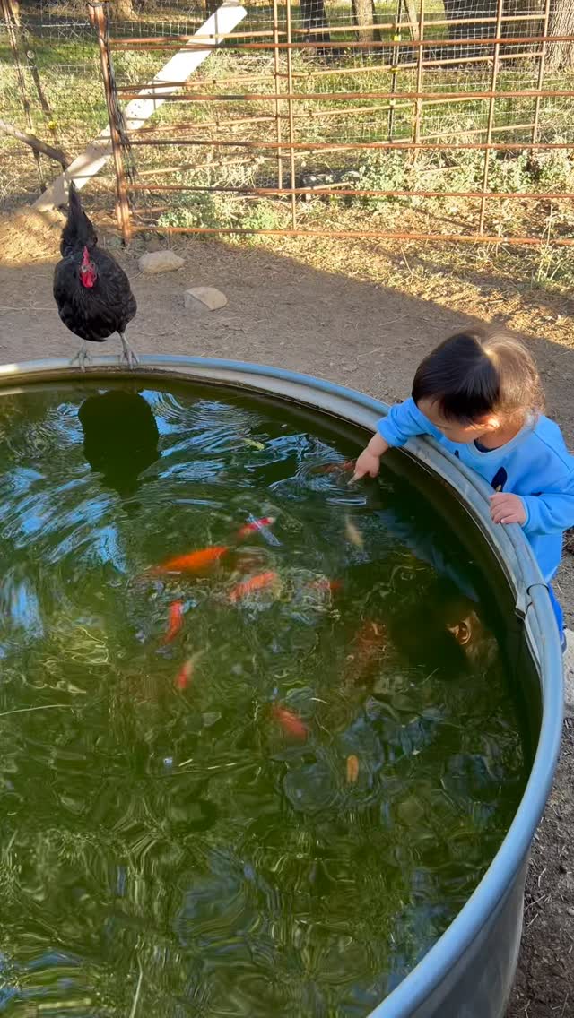 “All flourishing is mutual.” What a beautiful sentiment by Robin Kimmerer