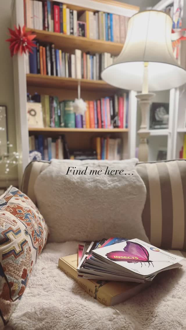 Festive Break starts soon … you will find me here till 5th January - Have a beautiful restful season, full of light and laughter 🧡🙏 with moments of calm