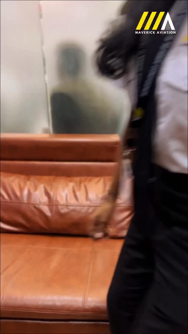 Guys, seriously don’t join Maverick. We don’t do average here!!
#MaverickAviation #BeAMaverick
#pilottraining #pilotview #pilotlifestyle #piloteyes #pilotstuff #pilotjob #aviation #aviationworld #aviationlife
(Pilot training in mumbai, aviation geek, aviation students, cpl training, pilot life, aviation coaching)