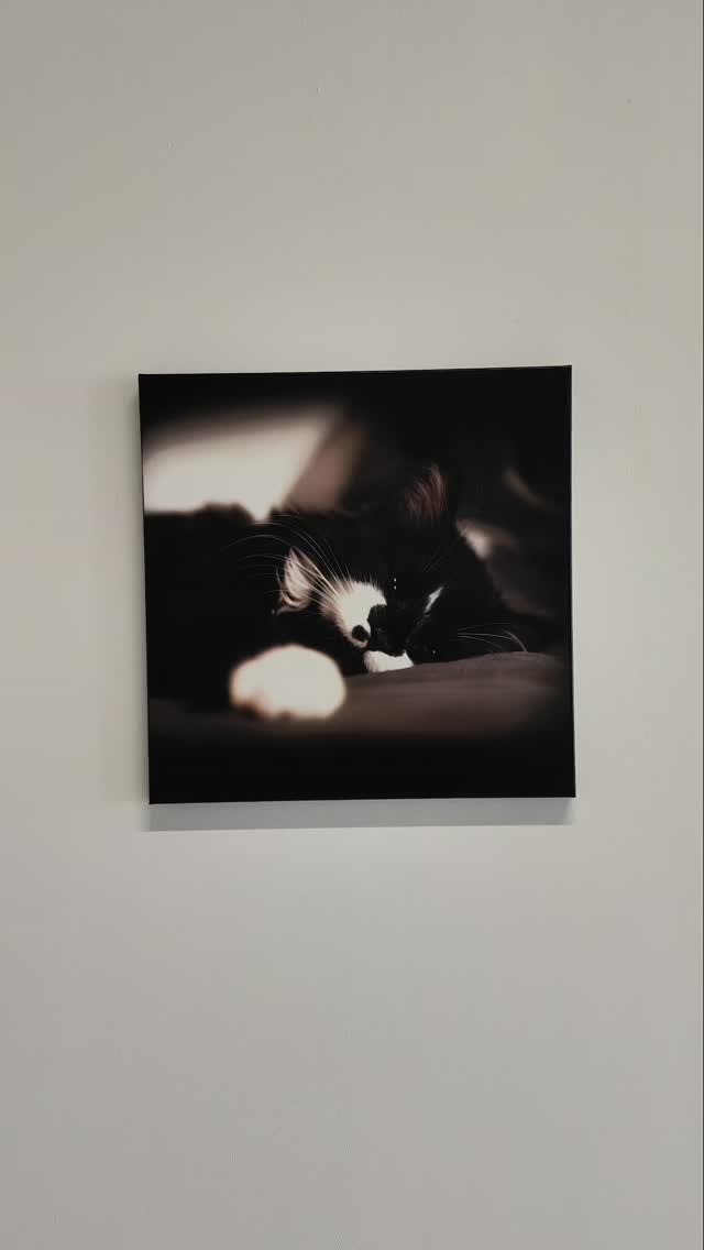 Un grand merci a notre cliente qui nous a fait confiance dans la réalisation de ce magnifique tableau #palettedestyles #Impressionverticale #ImpressionSurToile #impressiongrandformat