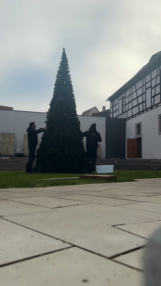 #120 Minuten #challange #weihnachtsbaum