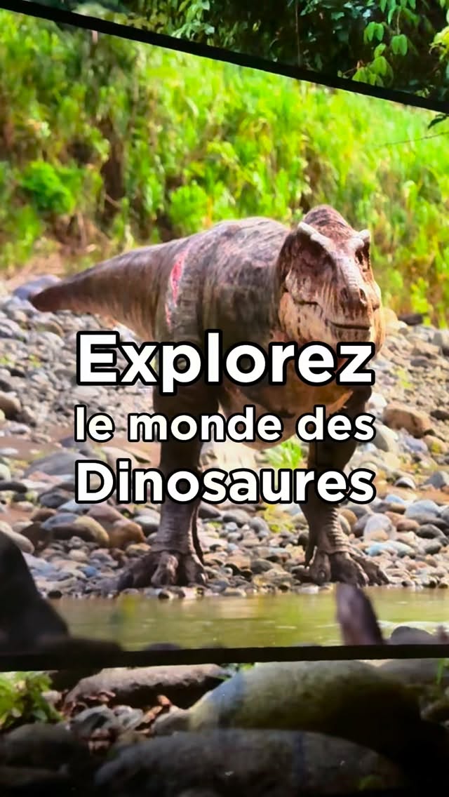 Si vous êtes sur Paris, pour les vacances de Noël, voici une activité qui va certainement plaire à toute la famille. l’Atelier des Lumières nous propose une expérience immersive spectaculaire intitulée « Planète Préhistorique : Dinosaures – l’expérience immersive ». C’est au coeur de cette immense ancienne fonderie créée en 1835 et de plus de 1500m2 que vous allez être plongés au cœur du monde préhistorique grâce à des images monumentales, projetées sur les murs, du sol au plafond. Un spectacle créé à partir de la célèbre série Planète Préhistorique d’Apple TV, connue pour son réalisme impressionnant et ses scènes à couper le souffle. Tout au long de ce voyage, vous serez guidé par la voix de l’acteur Gérard Lanvin et explorez à ses côtés des paysages grandioses où évoluent des créatures fascinantes : des ptérosaures planant dans le ciel, des reptiles marins géants comme le mosasaure, des Velociraptors rapides et malins, sans oublier l’incontournable et redoutable Tyrannosaurus rex.
L’expérience ne se contente pas d’en mettre plein les yeux. Elle raconte aussi des histoires : la naissance fragile des jeunes dinosaures, les scènes de chasse nocturnes ou encore des combats entre espèces géantes.
Un moment à la fois spectaculaire, ludique et fascinant pour toute la famille.
—————
L’Atelier des Lumières
38 rue Saint Maur - Paris 11
Ouvert tous les jours de l’année
Tarifs en réservant sur le web (-1€) : Plein tarif : 18€ - Tarif senior (+ de 65 ans) : 17€ - Tarif réduit (jeunes de 12 à 25 ans, étudiants) : 16€ - Tarif enfant (3-11 ans) : 11€
Tarif famille (2 adultes + 2 jeunes de 3 à 25 ans) : 52€
Réservez vos places sur la billetterie officielle à partir du profil de mon compte.
#dinosaure #dinosaures #atelierdeslumieres #timeoutparis #vacancesdenoel #pariswithkids #parisenfamille #sortiraparis #activitéenfants #pariskids #prehistoire #noelaparis