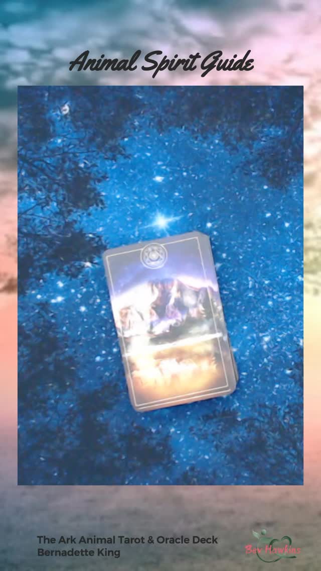 🐾 Meerkat Spirit Animal | Community, Awareness & Hidden Treasures
The Meerkat Spirit Animal symbolizes community, cooperation, and heightened awareness. Meerkats thrive together, reminding us that life is stronger and richer when shared rather than lived alone.
✨ Strength in unity
✨ Awareness reveals abundance
✨ Community creates safety
#MeerkatSpiritAnimal #CommunityWisdom #HiddenTreasures #SpiritualSymbolism #GroupCooperation