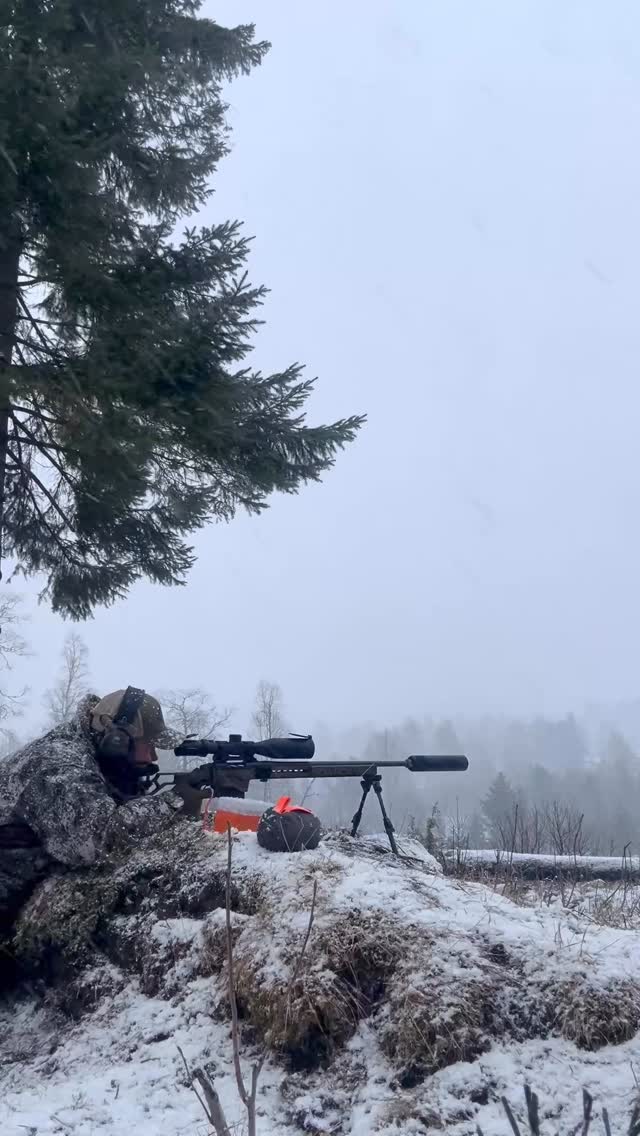 QD55 💥 Video - @sutrejeger