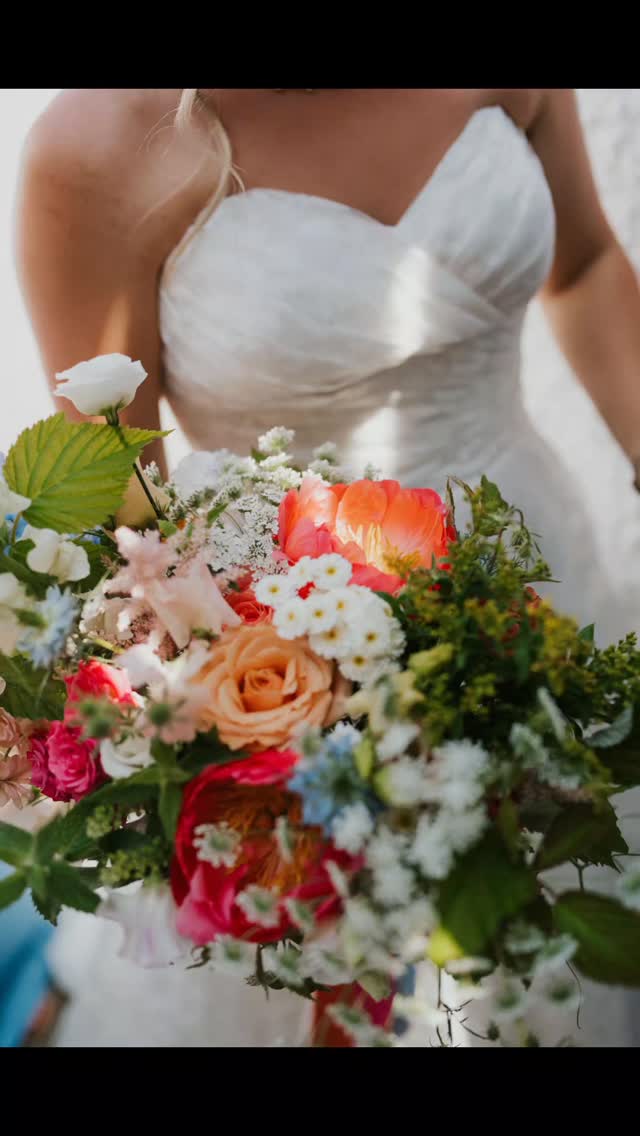 Celebrating the bouquets of 2025! This year saw an abundance of colour, from deep rich hues, to bright, light and airy.... Loved them all! 🥰
Massive thanks to the wonderful photographers for their stunning photos.
@yeahmikephotovideo
@sofiemichellephotography
@albionrowphotography
@oliviarossiphotography
@alanlawphoto
@noahwerthfilmphoto
@emmamorgan.photography
@chris_armstrong_photography
@wildtidelove
@nickwcommercialphoto
@carolineoakleyphotography
@victoriawalkerphotography
@mcauleypaulphotography
@jaketimmsphotography
Huge thanks to my very talented flower growers
@hendrafarmflowers
kernowdahlias
#celebrating2025 #weddingbouquet #bridalbouquet #bridalbouquetideas #newyear2025