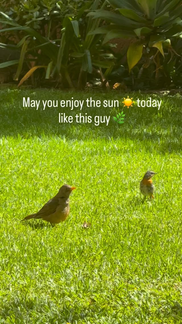 Have a happy day
#Ecopsychology #aliveecojourneys #roottoriseglobal