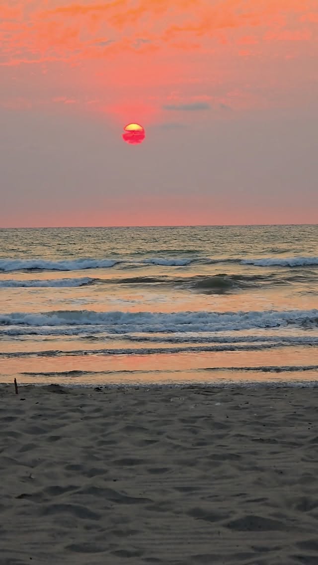 "Another freaking sunset"