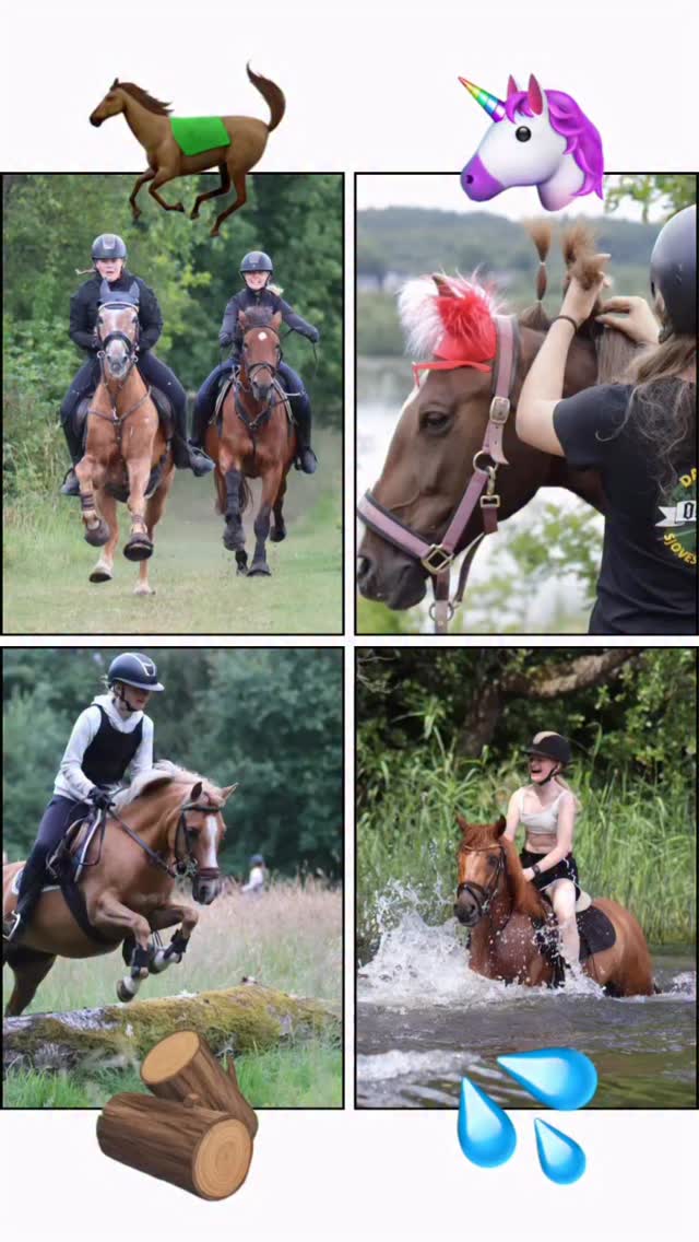 Hvad kan du bedst lide? Kommenter med emojis…
🐎 - en frisk galop
🦄 - strigle og pynte
🪵 - springe naturspring
💦 - bade med hestene
Vi gør det hele på Østerlund Ridelejr❤️