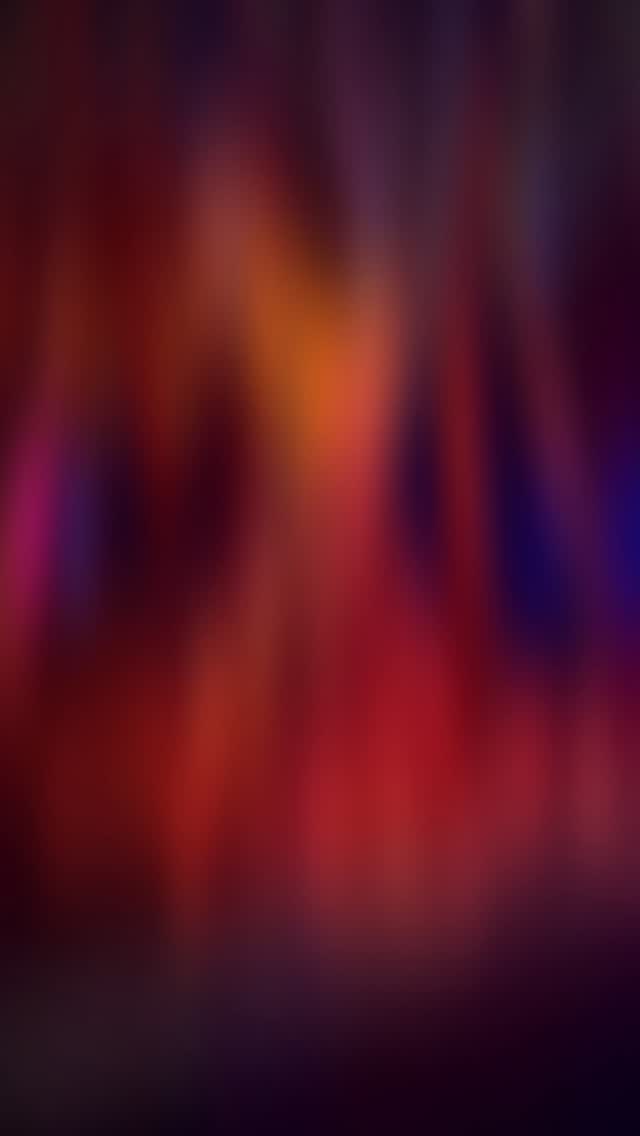 ✨ Don’t let a little rain dampen your festive spirit. This dazzling light show is truly one of a kind, and there are only 3 MORE NIGHTS to experience it at Mendocino Coast Botanical Gardens. From the sparkling safari scene to the galactic succulent garden, every glowing display is 100% handmade. This beloved coastal holiday tradition has been glowing and growing for 15 years, shining brighter each season thanks to the imagination, craftsmanship, and dedication of MCBG staff and volunteers who somehow manage to outdo themselves every year.
🌊 A daytime visit offers its own kind of magic, soothing the mind and delighting the senses along the coast, with fresh ocean air, vibrant winter color, and peaceful garden paths that invite you to slow down and breathe deep. Before you go, stop by The Garden Store to find gifts that keep the joy growing, including garden memberships, healthy plants, mushroom gear, apparel featuring the undeniably awesome MCBG logo, and plenty of other treasures that are far more memorable than another scented candle... ah-hem... but we have those too!
💚 Thank you to everyone who visits, supports, shops, and shares this place with others. Your generosity helps keep this magnificent garden by the sea thriving, glowing, and inspiring wonder for generations to come.