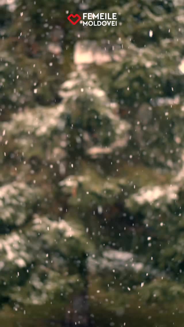 Crăciun fericit, dragii mei! Sărbători luminate alături de familie și cei dragi!
#craciun #femeilemoldovei #ianastantieru #moldova #craciundepoveste🎄❤️