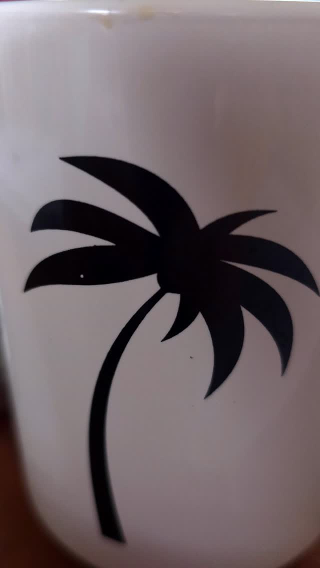 Spanish lessons available during your stay.
It's absolutely fantastic!
When we say; ConTodo Canoa, we mean it.